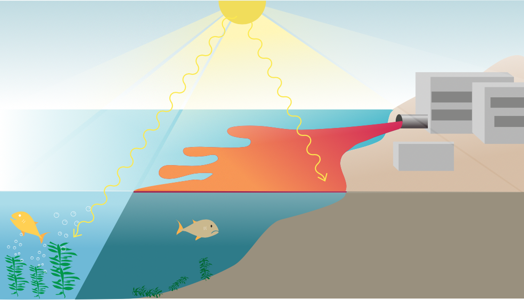 Freshwater synthetic azo dyes X Fashion Industry (Desiree Gabriel) futurelink